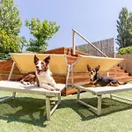 Club Del Sole Vigna Sul Mar Family Collection 4*