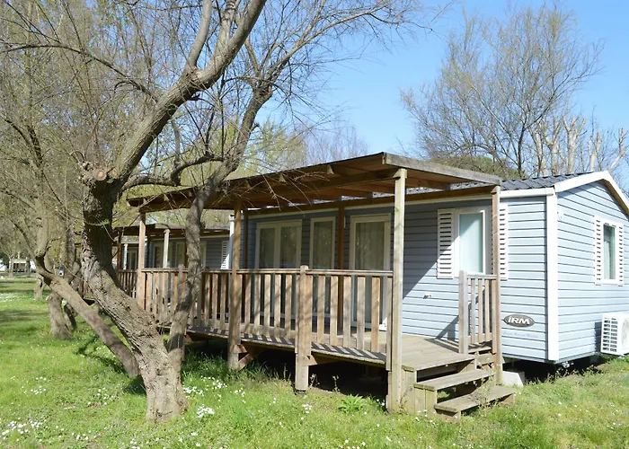 Club Del Sole Vigna Sul Mar Family Collection ホリデーパーク リド・ディ・ポンポーザ